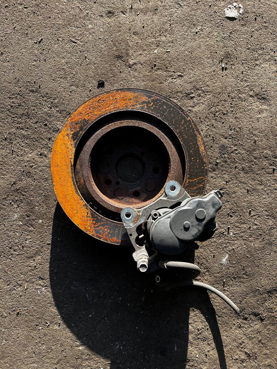 Гальмівний диск задній Toyota RAV4 XA50 2019-2024 42431-0R020